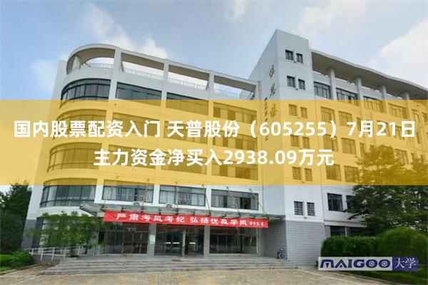 国内股票配资入门 天普股份（605255）7月21日主力资金净买入2938.09万元