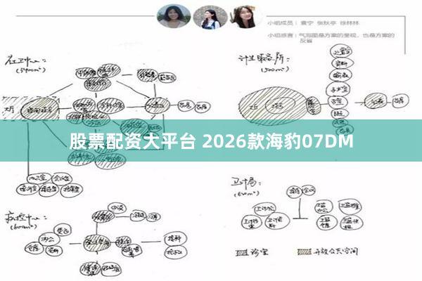 股票配资大平台 2026款海豹07DM