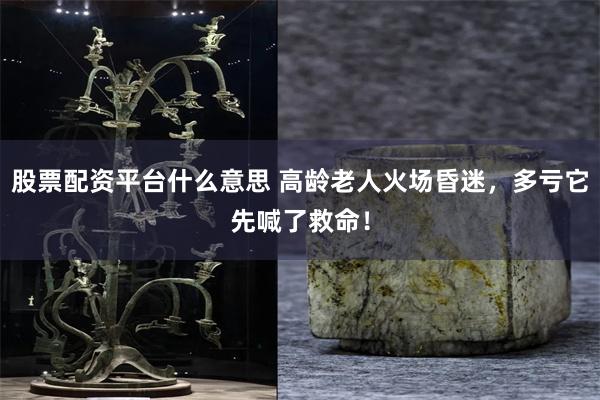 股票配资平台什么意思 高龄老人火场昏迷，多亏它先喊了救命！