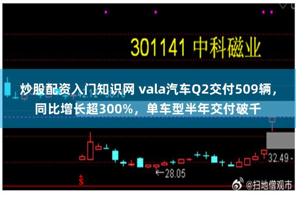 炒股配资入门知识网 vala汽车Q2交付509辆，同比增长超300%，单车型半年交付破千