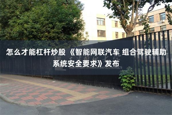 怎么才能杠杆炒股 《智能网联汽车 组合驾驶辅助系统安全要求》发布