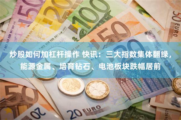 炒股如何加杠杆操作 快讯：三大指数集体翻绿，能源金属、培育钻石、电池板块跌幅居前